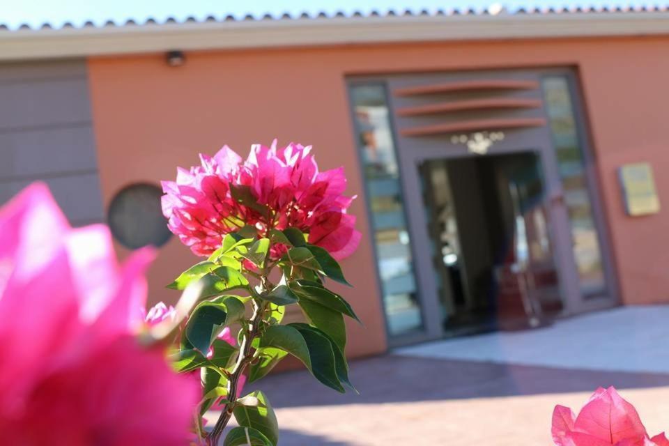 Thalassa Hotel & Spa Palairos Luaran gambar