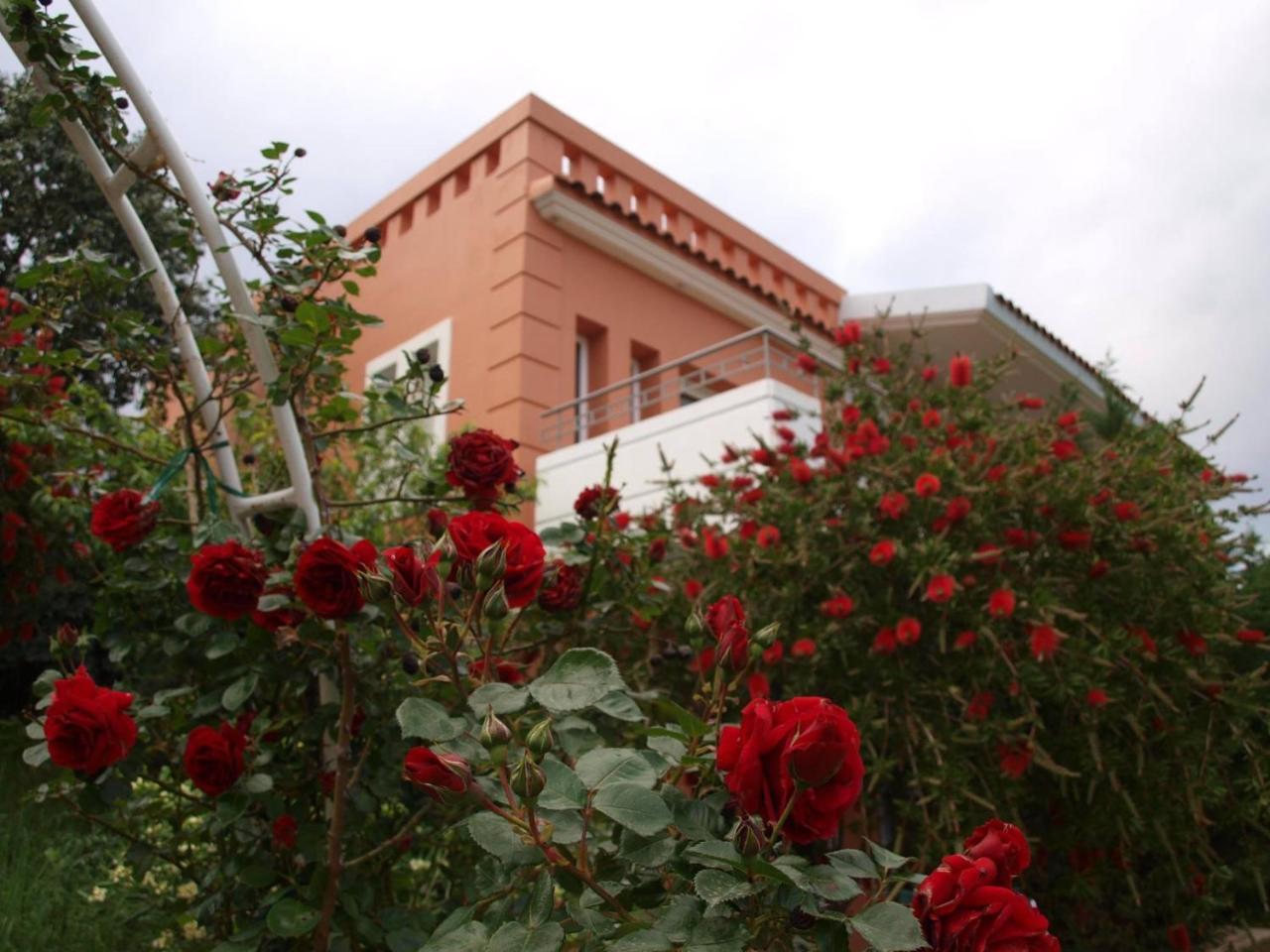 Thalassa Hotel & Spa Palairos Luaran gambar