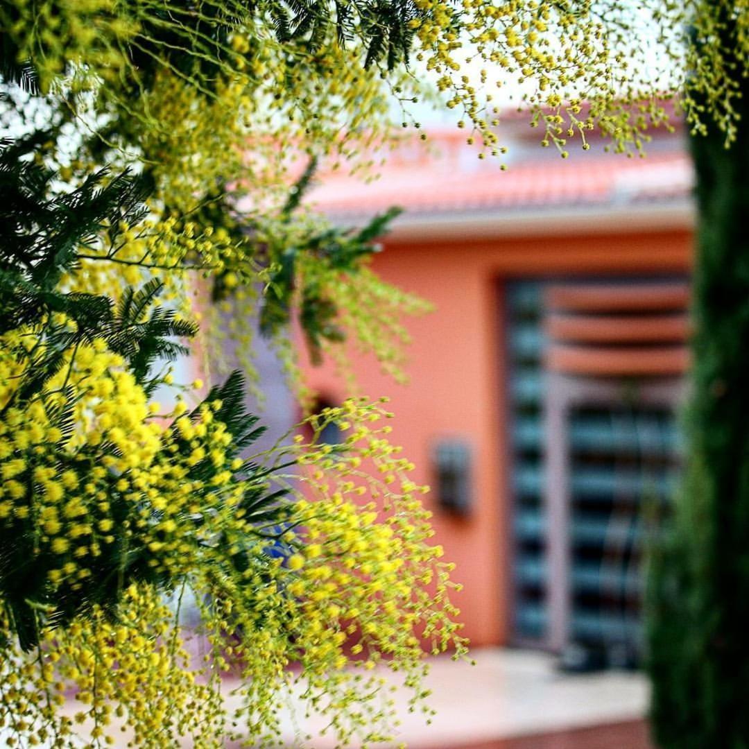 Thalassa Hotel & Spa Palairos Luaran gambar